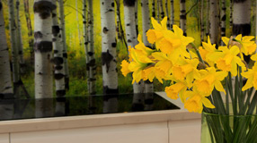 Interior Colour Design Splashback Malvern