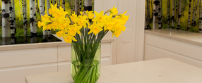 Interior Colour Design Kitchen Splashback